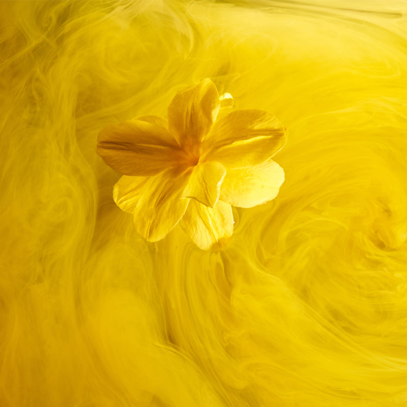 Super Rich Collagen Boosting Face Mask Unveiling The Power Of Damiana by Skin-rg