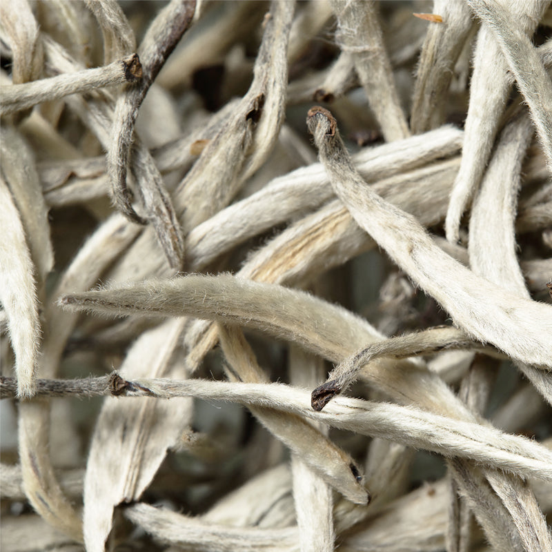 Our Silver Needle Tea delivers pure antioxidants in our award winning Flash Balm Make Up Remover by SKIN-RG Skincare