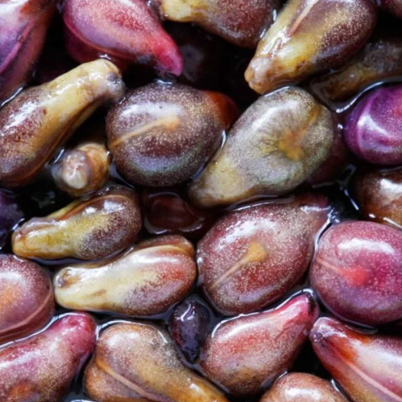 Discover Skin-rg Organic Grape Seed Extract In the Therapeutic Foot Cream