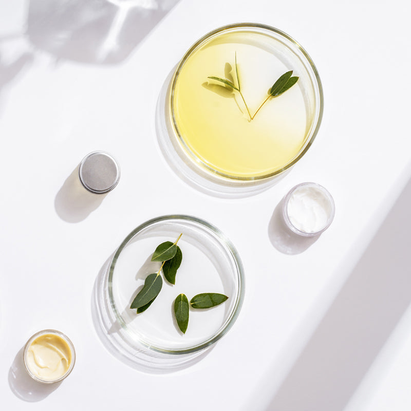 Best Oil To Treat Acne By Skin-rg Skincare Pro Oil Concentrate