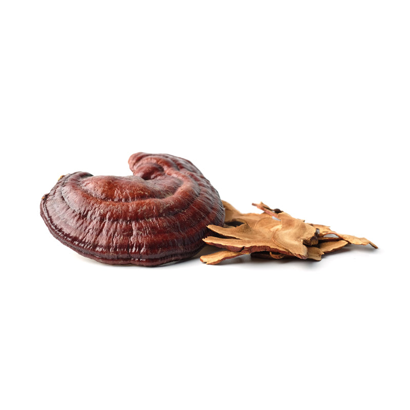 Discover the power of Reishi Mushroom the super power in men's scrub mask 2 in 1 by Skin-rg