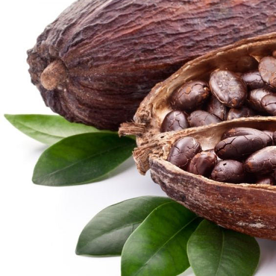 Cocoa Anti-Cellulite Firming Extract
