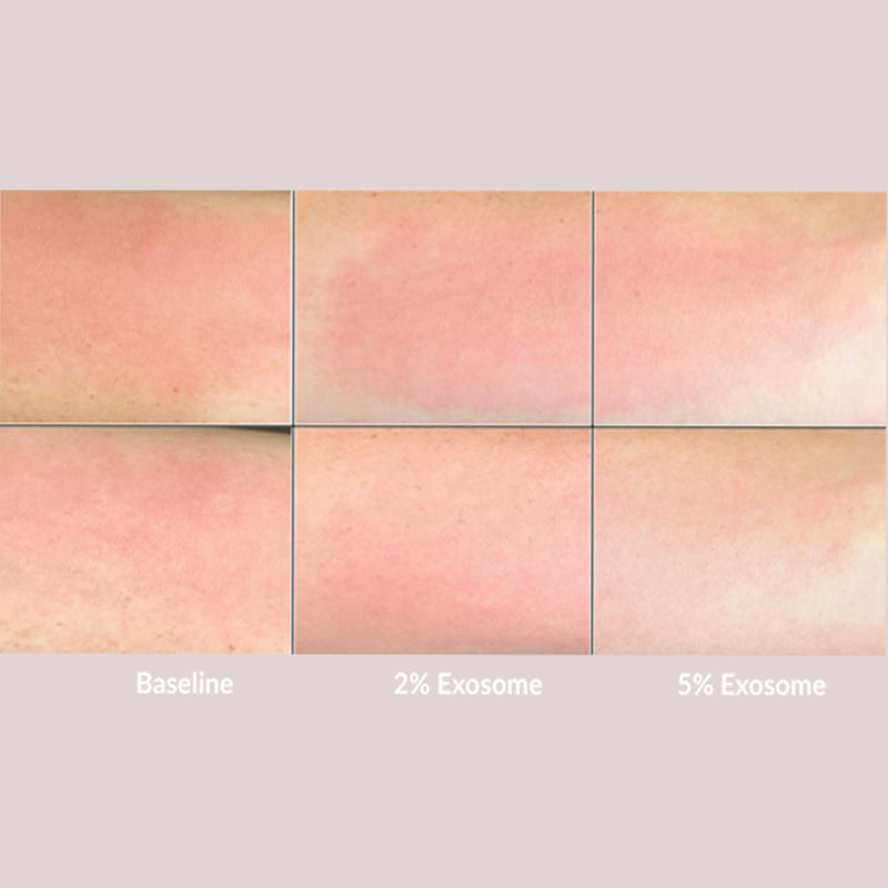 www.skin-rg.com